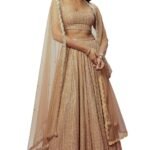 Women's Embroidered Work Georgette Fabric Chaniya Choli with Dupatta Semi Stitched (Brown_Semi Stitched).